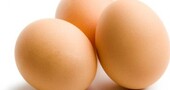 Precauciones sobre el consumo de huevos Precauciones sobre el consumo de huevos