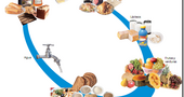 Nutricion | ¿Que son los nutrientes? Nutricion | ¿Que son los nutrientes?