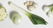 Cómo nos ayudan los alimentos blancos Cómo nos ayudan los alimentos blancos