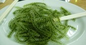 Propiedades de las algas marinas comestibles
