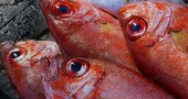 La importancia de la vitamina B La importancia de la vitamina B
