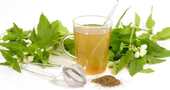 Infusiones adelgazantes Infusiones adelgazantes