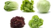 Lechuga, la reina para adelgazar Lechuga, la reina para adelgazar
