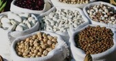 Qué alimentos son ricos en fósforo Qué alimentos son ricos en fósforo