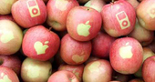 ¿A qué huele la manzanita del MacBook Pro? Un grupo de artistas crea la primera fragancia de Apple ¿A qué huele la manzanita del MacBook Pro? Un grupo de artistas crea la primera fragancia de Apple