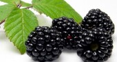Los alimentos de color negro y sus beneficios Los alimentos de color negro y sus beneficios