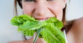 La lechuga, excelente para la dieta La lechuga, excelente para la dieta