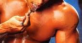 Claves de la nutrición muscular Claves de la nutrición muscular