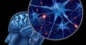 Nutrientes que benefician nuestras neuronas Nutrientes que benefician nuestras neuronas