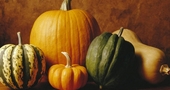 Nutrientes y beneficios de la calabaza Nutrientes y beneficios de la calabaza