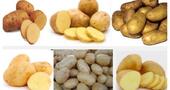 Nutrientes de la papa o patata Nutrientes de la papa o patata