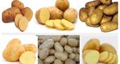 Nutrientes de la papa o patata