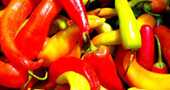 Para que sirve el chile jalapeño Para que sirve el chile jalapeño