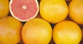 El pomelo, un antibiótico natural El pomelo, un antibiótico natural