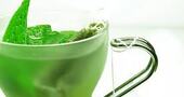 El té verde, el mejor té El té verde, el mejor té