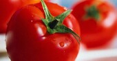 El tomate, un alimento previsor (Parte 1) El tomate, un alimento previsor (Parte 1)